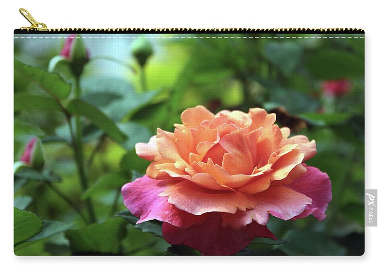 Rose Zip Pouch featuring the photograph Resplendent Rose by Jessica Jenney