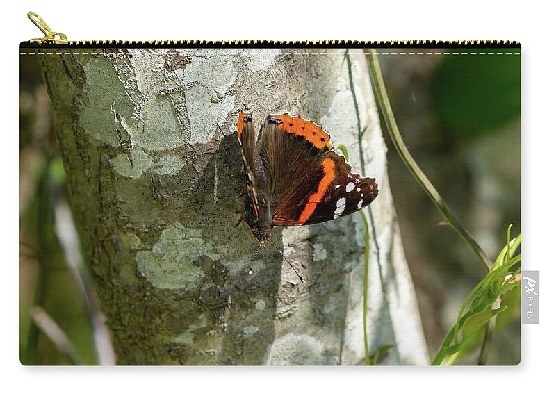 Butter Zip Pouch featuring the photograph Resting Red Admiral by Liza Eckardt