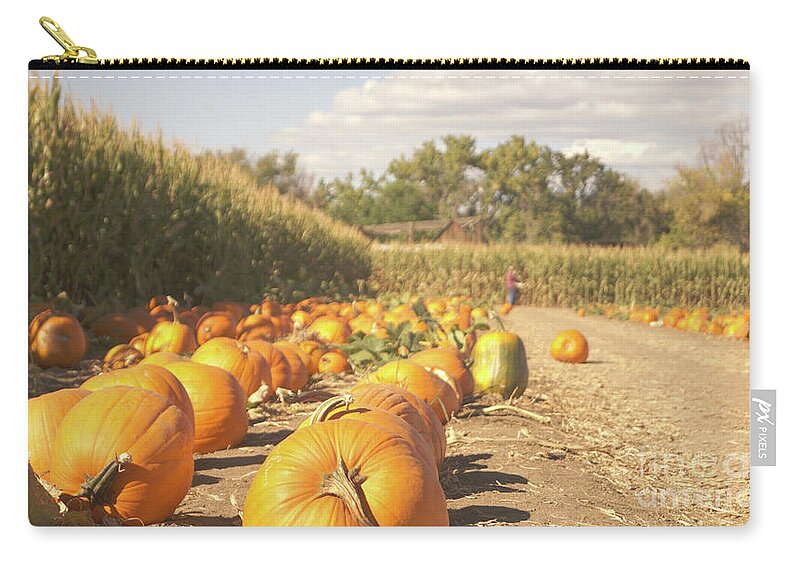 Retro Zip Pouch featuring the photograph Retro pumpkin patch by Steve Speights