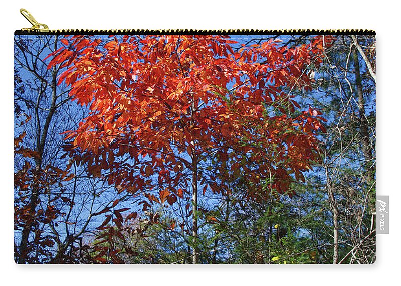 Autumn Carry-all Pouch featuring the photograph Return to Autumn by Phil Perkins