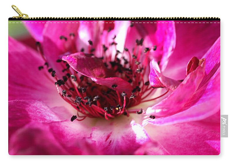Bubbleblue Zip Pouch featuring the photograph Richly Dreamy Rose by Joy Watson