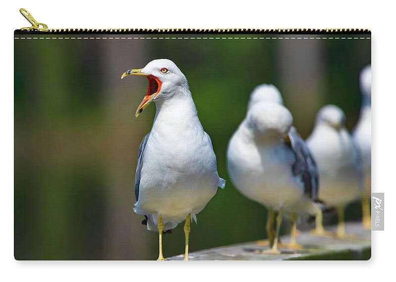 Bird Carry-all Pouch featuring the photograph Ring-billed Gull - being vocal by Ron Grafe