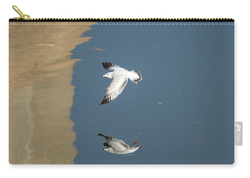 Debra Martz Zip Pouch featuring the photograph Ring-billed Gull In Flight by Debra Martz