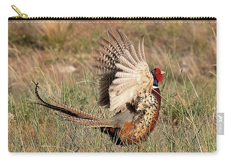 Bird Zip Pouch featuring the photograph Ring-necked Pheasant Call of the Wild by Dennis Hammer