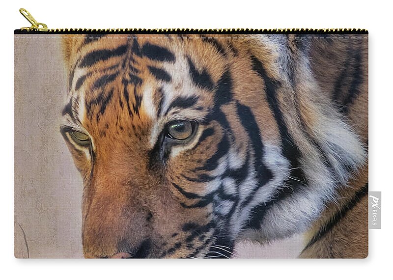 Tigers Zip Pouch featuring the photograph RIP Baheem by Elaine Malott