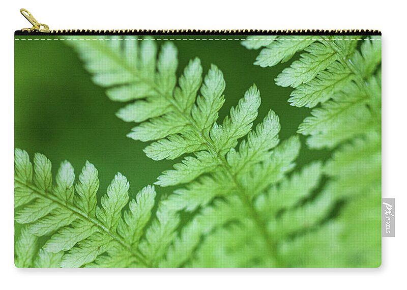 Fern Zip Pouch featuring the photograph Roan Mountain Fern #1 by Cynthia Clark