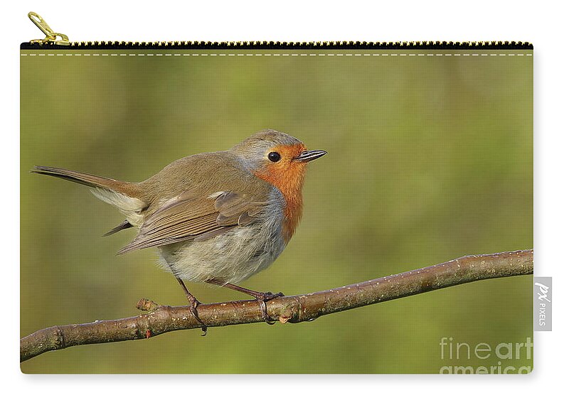 Robin Nature Birds Garden-birds Red Orange Brown Colours Photography Prints 2020 Zip Pouch featuring the photograph Robin garden friend by Peter Skelton