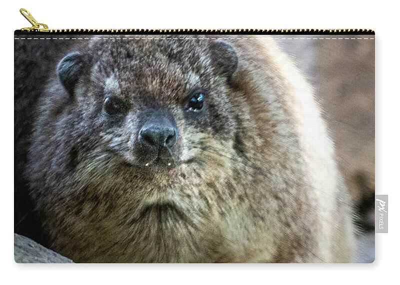 David Levin Photography Carry-all Pouch featuring the photograph Rock Hyrax Looking at You by David Levin