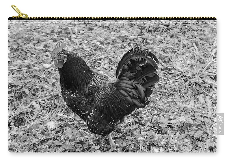 Rooster Zip Pouch featuring the photograph Rooster BW by Cathy Anderson