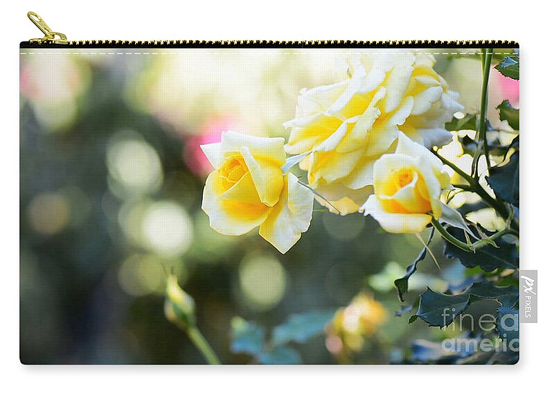 Rose Zip Pouch featuring the photograph Rose garden with bokeh background and copy space. by Milleflore Images