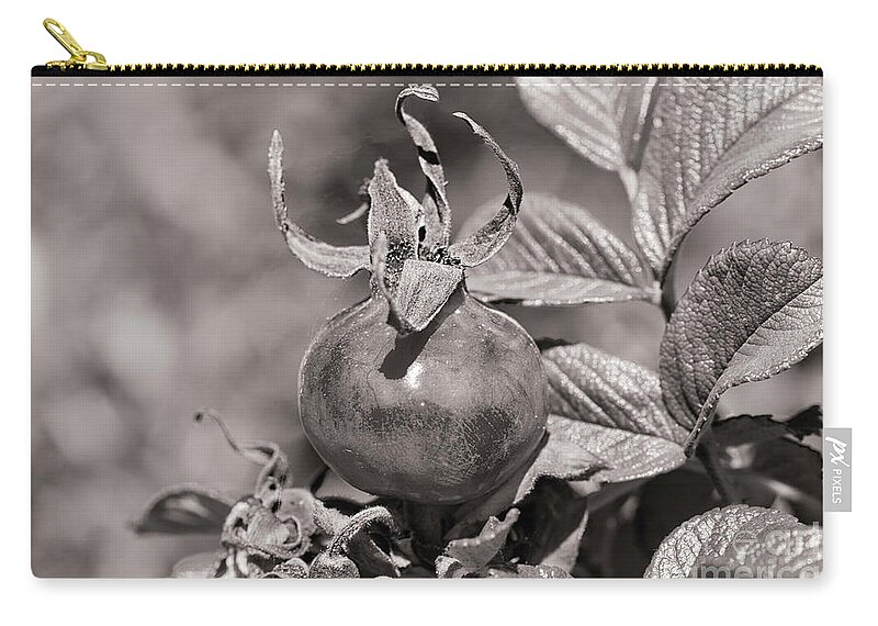 Rose Hip Zip Pouch featuring the photograph Rose Hip by Linda Lees