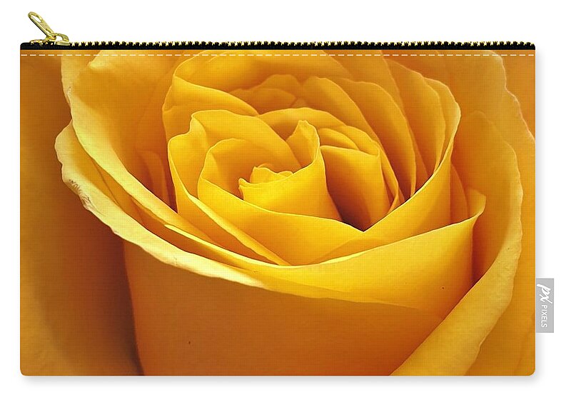 Rose Zip Pouch featuring the photograph Rose Light by Andrea Whitaker