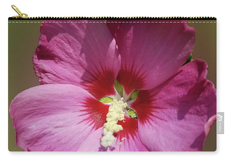 Rose Of Sharon Zip Pouch featuring the photograph Rose of Sharon by Carol Eliassen