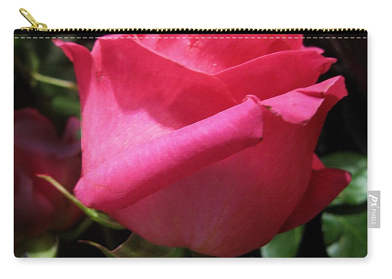 Single Beauty Zip Pouch featuring the photograph Rose Red by David Zimmerman