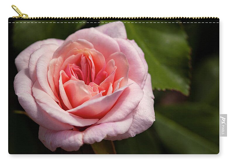 Rose Zip Pouch featuring the photograph Rose' by Ryan Huebel