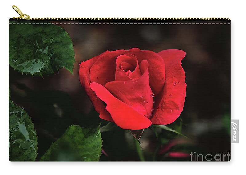 Rose Zip Pouch featuring the photograph Rose With Raindrops by Neala McCarten