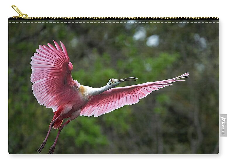  Zip Pouch featuring the photograph Roseate Flight by Jim Miller