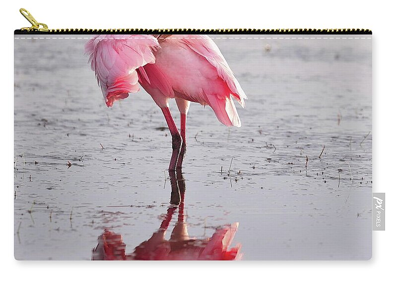Roseate Spoonbill Zip Pouch featuring the photograph Roseate Spoonbill 12 by Mingming Jiang