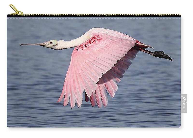 Roseate Spoonbill Carry-all Pouch featuring the photograph Roseate Spoonbill 6 by Mingming Jiang