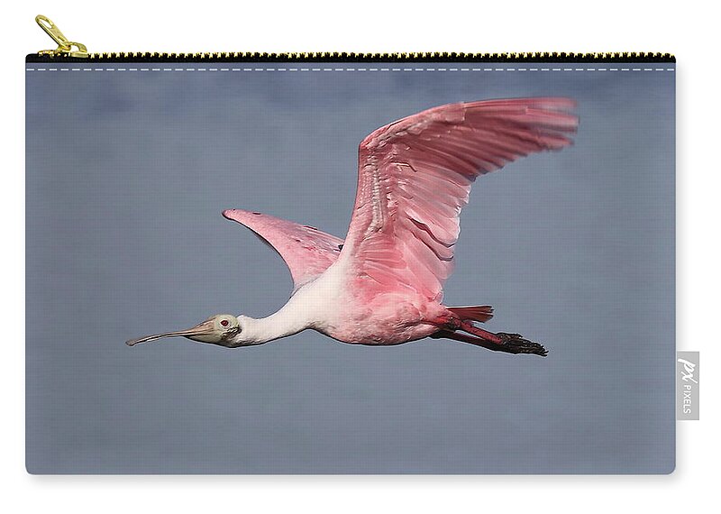 Roseate Spoonbill Zip Pouch featuring the photograph Roseate Spoonbill 7 by Mingming Jiang