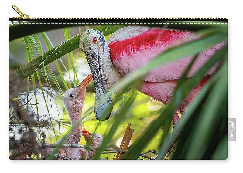 Roseate Spoonbill Zip Pouch featuring the photograph Roseate spoonbill and chicks by Robert Miller