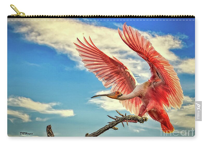 Birds Zip Pouch featuring the photograph Roseate Spoonbill by DB Hayes