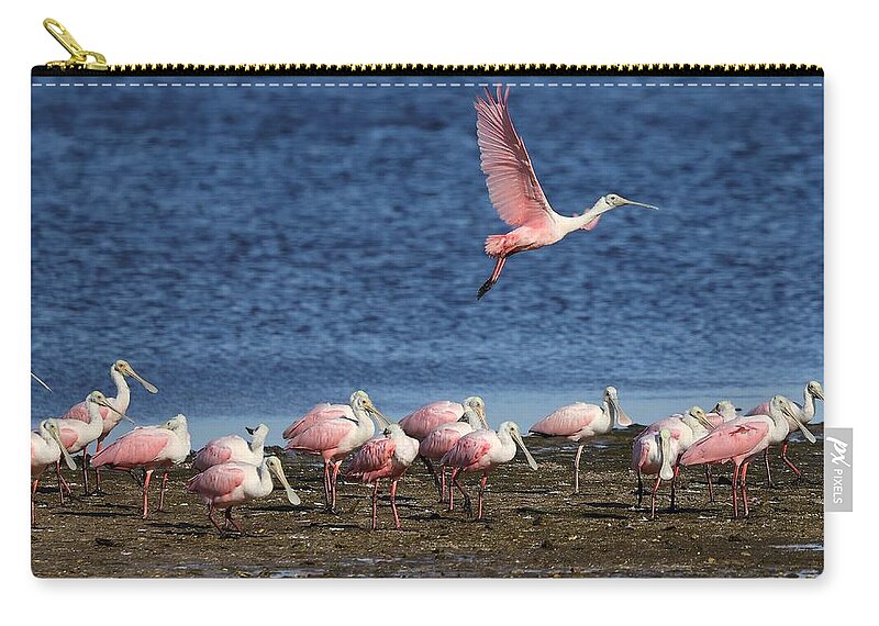 Roseate Spoonbill Carry-all Pouch featuring the photograph Roseate Spoonbills Gather Together 5 by Mingming Jiang