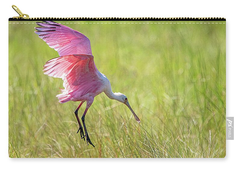 Roseate Spoonbill Zip Pouch featuring the photograph Roseate Spoonbill by Linda Shannon Morgan