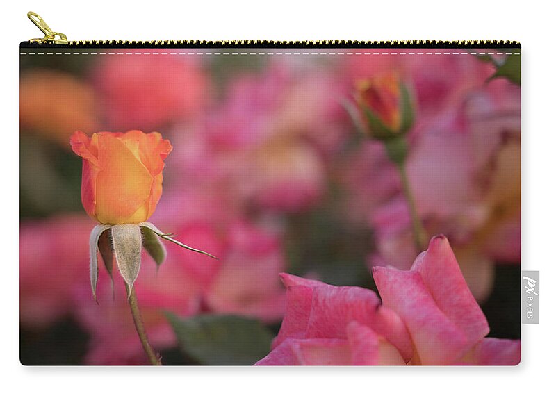 Rose Zip Pouch featuring the photograph Rosebud II by Margaret Pitcher