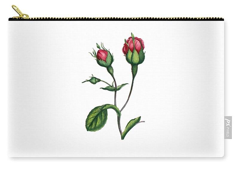 Rose Zip Pouch featuring the digital art Rosebuds by Madame Memento