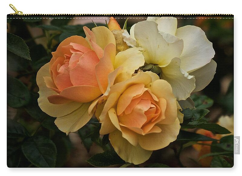 Roses Zip Pouch featuring the photograph Roses 2020 by Richard Cummings
