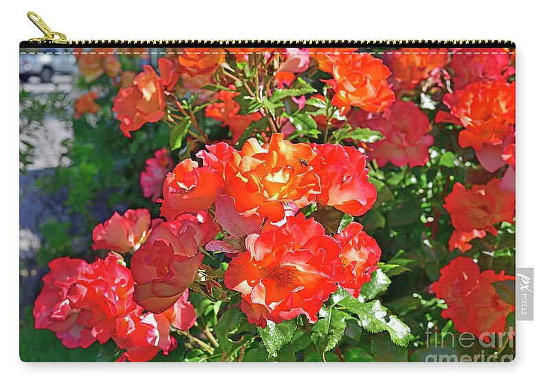 Red Roses Zip Pouch featuring the photograph Roses and Honey Bee by Amazing Action Photo Video