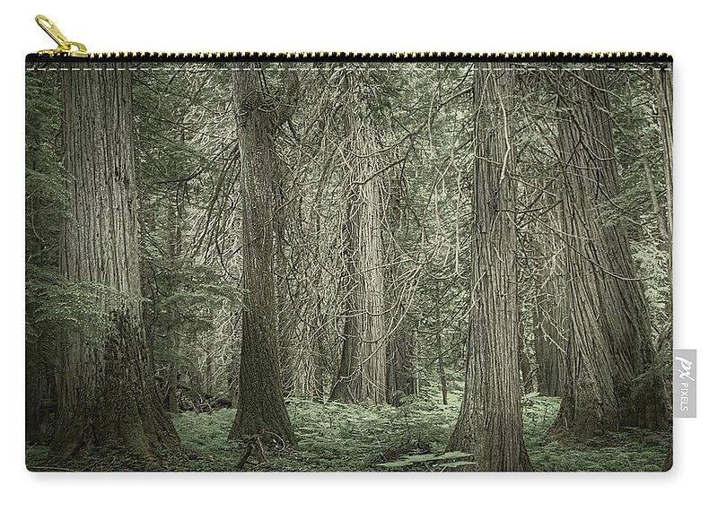 Cedar Zip Pouch featuring the photograph Ross Creek Cedars by Dan Eskelson