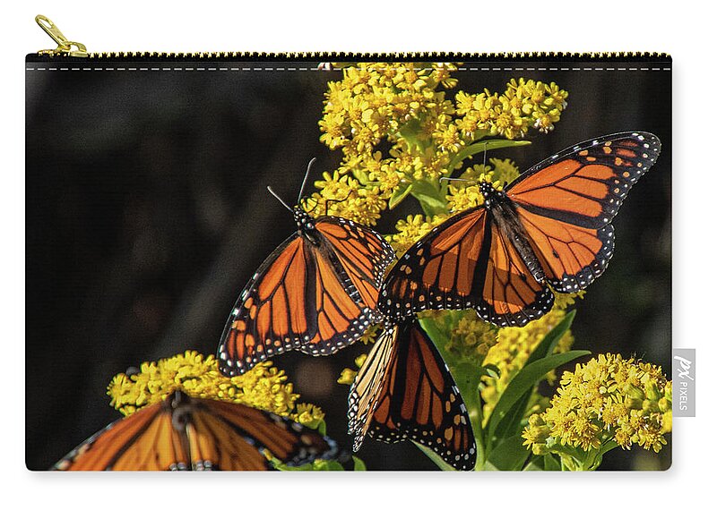 Butterflies Carry-all Pouch featuring the photograph Royal Gathering by Cathy Kovarik