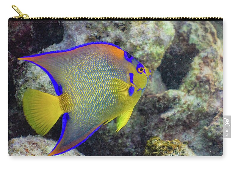 Fish Carry-all Pouch featuring the photograph Royalty by Lynne Browne