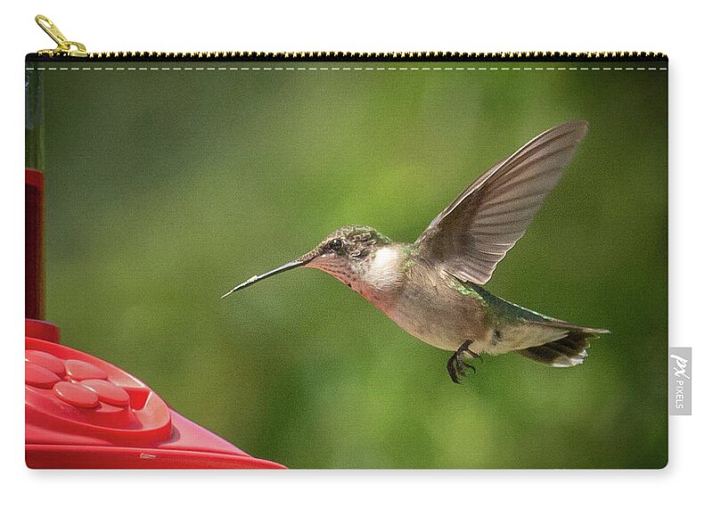 Nature Zip Pouch featuring the photograph Ruby hovering by Barry Bohn
