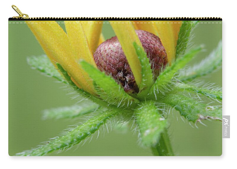 Bloom Carry-all Pouch featuring the photograph Rudbekia Opening by Karen Rispin