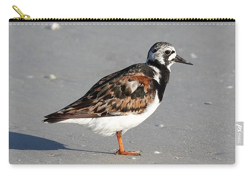 Ruddy Turnstones Carry-all Pouch featuring the photograph Ruddy Turnstone by Mingming Jiang