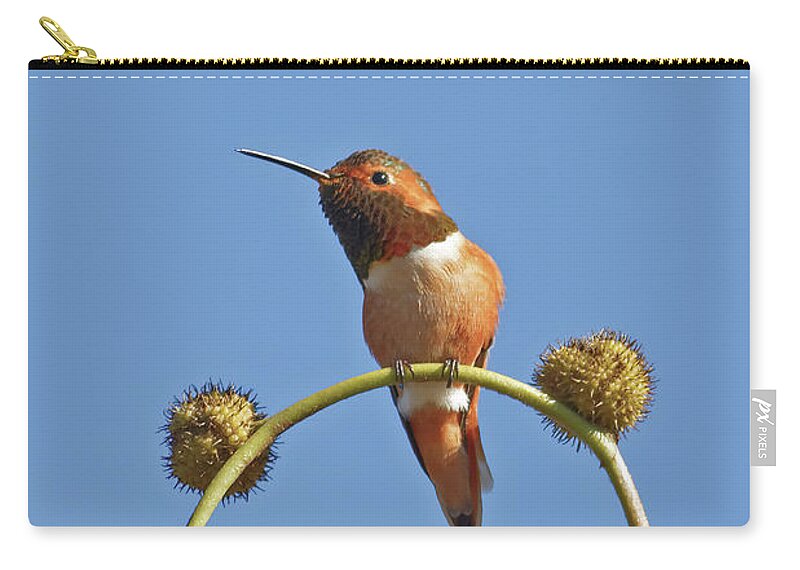 Hummingbird Carry-all Pouch featuring the photograph Rufous Hummingbird in California Bird Sanctuary by Natural Focal Point Photography
