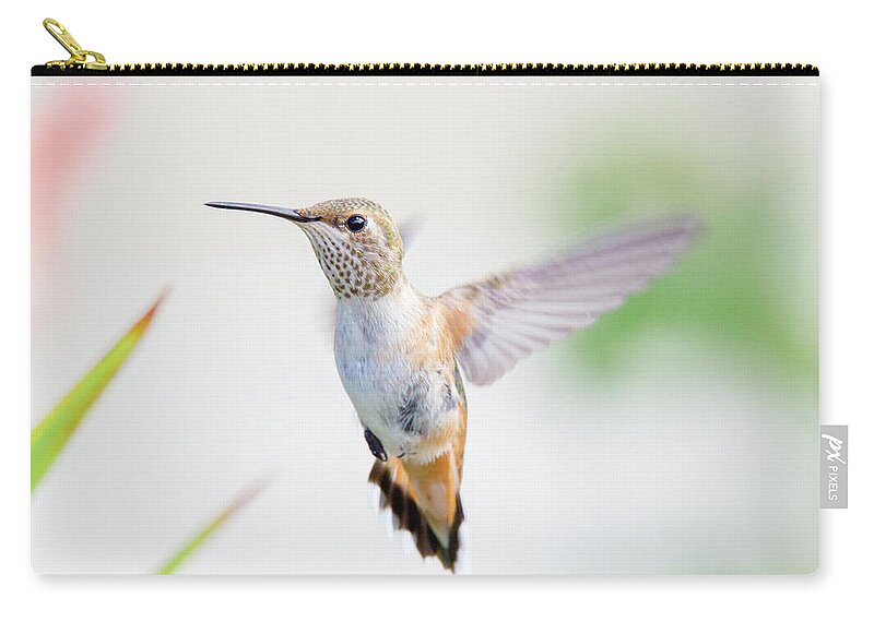 Rufous Zip Pouch featuring the photograph Rufous Hummingbird Vs. Bee by Belen Bilgic Schneider