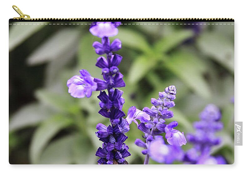 China Carry-all Pouch featuring the photograph Sage Flowers by Tanya Owens