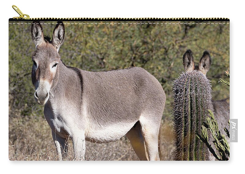 Wildlife Zip Pouch featuring the photograph Saguaro Burro by Mary Hone