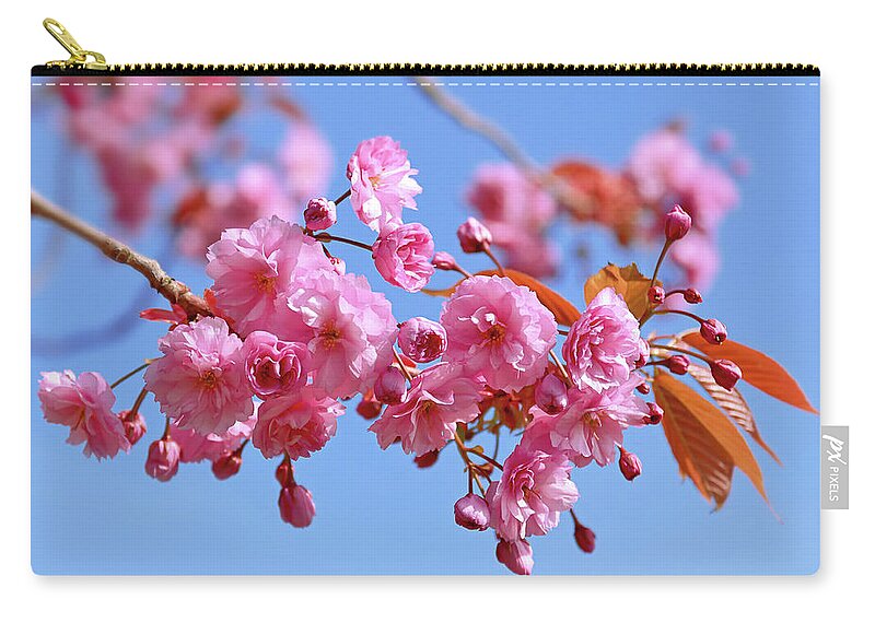 Pink Blossom Zip Pouch featuring the photograph Sakura in a blue sky by Maria Meester