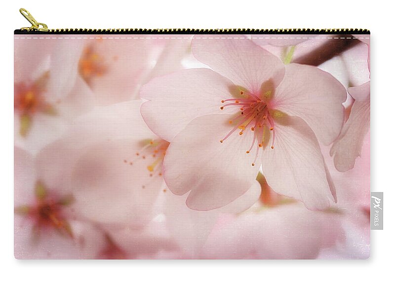 Cherry Blossoms Zip Pouch featuring the photograph Sakura by Susan Rissi Tregoning