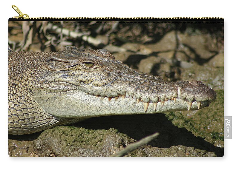 Animals Zip Pouch featuring the photograph Saltwater Crocodile Close Up by Maryse Jansen