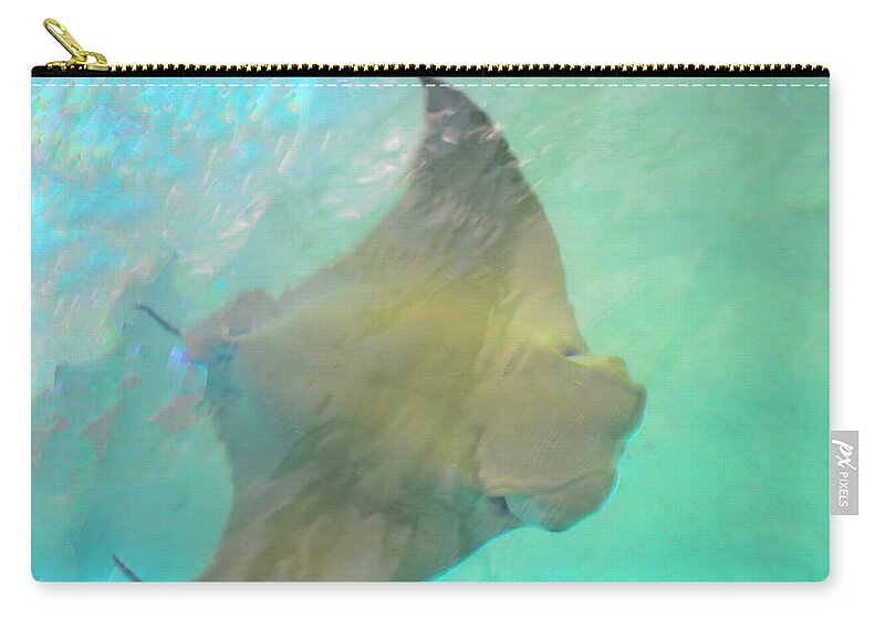 Stingray Zip Pouch featuring the photograph Salty Sting by Alison Belsan Horton