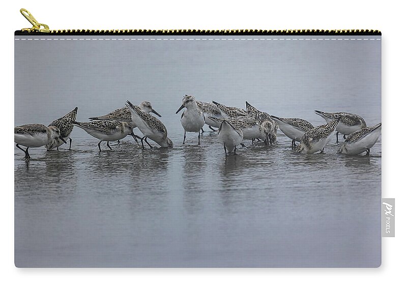Bird Carry-all Pouch featuring the photograph Sanderlings at the Beach by Darryl Hendricks