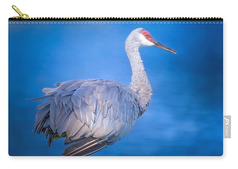 Sandhill Crane Zip Pouch featuring the photograph Sandhill Crane by the River by Mark Andrew Thomas