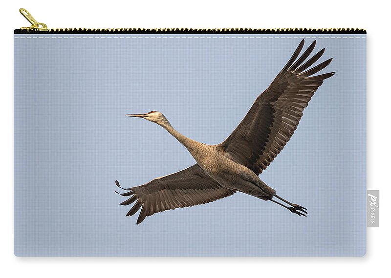 Sandhill Crane Zip Pouch featuring the photograph Sandhill Crane In Flight 2020-2 by Thomas Young