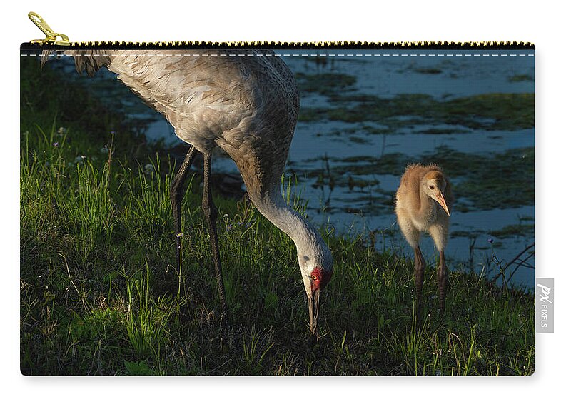 Birds Zip Pouch featuring the photograph Sandhill Crane by Larry Marshall